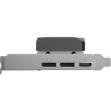 ZOTAC GeForce RTX 5060 Low Profile, Grafikkort 