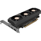 ZOTAC GeForce RTX 5060 Low Profile, Grafikkort 