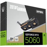 ZOTAC GeForce RTX 5060 Low Profile, Grafikkort 