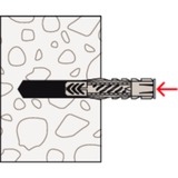 fischer UX 8x50, Dyvel Lys grå