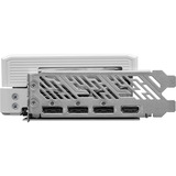 ASRock 90-GA5DZZ-00UANF, Grafikkort Hvid