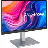 ASUS ProArt PA247CV computerskærm 60,5 cm (23.8") 1920 x 1080 pixel Fuld HD Sort, Sølv, LED-skærm Sort/Sølv, 60,5 cm (23.8"), 1920 x 1080 pixel, Fuld HD, 5 ms, Sort, Sølv