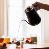 Cecotec Thermosense 500 Cisne, Kedel Sort/træ