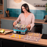 Cecotec VitaDry Pro Dehydrator, Tørremaskine rustfrit stål/gennemsigtig