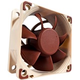 Noctua NF-A6X25 FLX Computerkølesystem Computerkabinet Ventilator 6 cm Brun, Sag fan Brown/Hvid, Ventilator, 6 cm, 1600 rpm, 3000 rpm, 19,3 dB, 29,2 m³/t