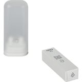 Procter & Gamble Oral-B iO Series 10, El-tandbørste Guld/Sort