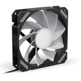 Sharkoon SHARK Mirror RGB PWM REVERSE, Sag fan Sort