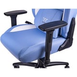 Thermaltake GGC-VCO-LWLWDS-01, Spil pladser Blå/Hvid