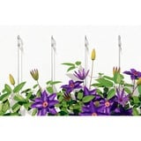 fischer Gasbetonplugg GB 14, Dyvel Lys grå