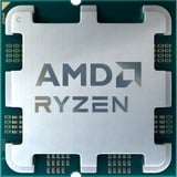 AMD Ryzen™ 5 7500F, Processor Tray