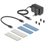 DeLOCK Eksternt USB 20 Gbps kabinet til 2 x M.2 NVMe PCIe SSD, Drev kabinet grå