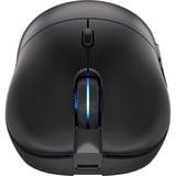 ENDORFY Gem Plus Wireless, Gaming mus Sort