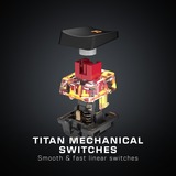 Turtle Beach Vulcan TKL tastatur Spil USB QWERTZ Tysk Sort, Gaming-tastatur Sort, DE-layout, Roccat Titan Speed, Ledningsført, USB, Mekanisk, QWERTZ, RGB LED, Sort