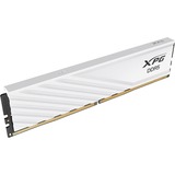 ADATA AX5U6000C3032G-SLABWH, Hukommelse Hvid
