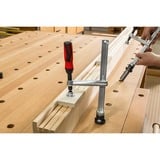 BESSEY Spændeelement TWV16-20-15-2K, Skruetvinge Sølv/Rød