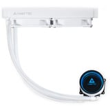 Chieftec ICEBERG 240-RGB-W Computerkabinet Alt-i-en væskekøler 12 cm Hvid, Vandkøling Hvid, Alt-i-en væskekøler, 12 cm, Hvid