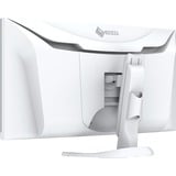 EIZO FlexScan EV3450XC-WT computerskærm 86,6 cm (34.1") 3440 x 1440 pixel UltraWide Quad HD LED Hvid, LED-skærm Hvid, 86,6 cm (34.1"), 3440 x 1440 pixel, UltraWide Quad HD, LED, 5 ms, Hvid
