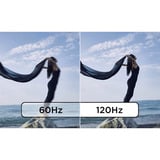 Lenovo ThinkVision T24D-40, LED-skærm Sort