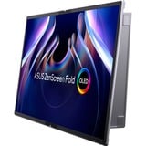 ASUS MQ17QH, OLED skærm Sølv
