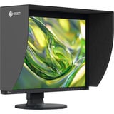 EIZO LED-skærm Sort