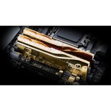 G.Skill F5-6400J3039G16GX2-TR5NG, Hukommelse Guld