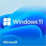 Microsoft Windows 11 Home 1 licens(er), Software 1 licens(er), 64 GB, 4096 GB, 1000 GHz, Tysk, DVD