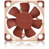 Noctua NF-A4x10 24V PWM, Sag fan Brown/Beige