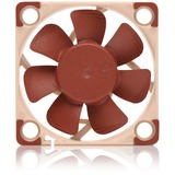 Noctua Sag fan Brown/Beige