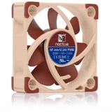 Noctua Sag fan Brown/Beige