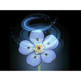 Revell Blossom Festival træblomster, Klippe og klistre træ, Detail