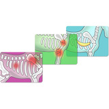 Schleich Horse Club Hesteklinik "Helbredende Hove", Spil bygning 