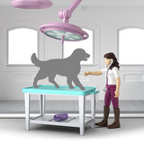 Schleich Horse Club Hesteklinik "Helbredende Hove", Spil bygning 