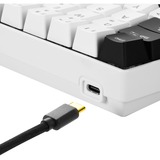 Sharkoon SGK50 S4 tastatur USB QWERTZ Tysk Sort, Gaming-tastatur Hvid/Sort, DE-layout, Kalih brun, 60%, USB, QWERTZ, RGB LED, Sort