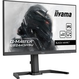 iiyama Gaming Skærm Sort (mat)