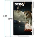 BenQ EW3290U LED display 79,2 cm (31.2") 3840 x 2160 pixel 4K Ultra HD Hvid, LED-skærm Hvid, 79,2 cm (31.2"), 3840 x 2160 pixel, 4K Ultra HD, LED, 5 ms, Hvid