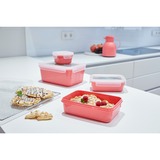 Emsa 4009049537962, Boks Coral/gennemsigtig