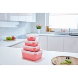 Emsa 4009049537962, Boks Coral/gennemsigtig