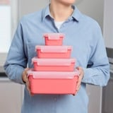 Emsa 4009049537962, Boks Coral/gennemsigtig