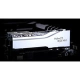 G.Skill F5-8000J4048G24GX2-TR5NS, Hukommelse Sølv