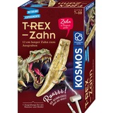 KOSMOS Eksperiment boks