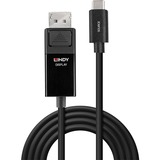 Lindy 43342 videokabel adapter 2 m USB Type-C DisplayPort Sort Sort, 2 m, USB Type-C, DisplayPort, Hanstik, Hanstik, Lige