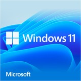Microsoft Windows 11 Home 1 licens(er), Software 1 licens(er), 64 GB, 4096 GB, 1000 GHz, Engelsk, DVD