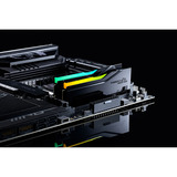 G.Skill F5-6000A2836G16GX2-TZ5NXRN, Hukommelse Sort