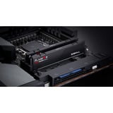 G.Skill F5-6000J3644D64GX4-FX5, Hukommelse Sort