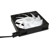 Inter-Tech 88885647, Sag fan Sort