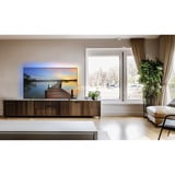 Philips 48OLED770/12, OLED-TV Sort/grå