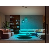 Philips Hue 9290024688, LED-lampe 