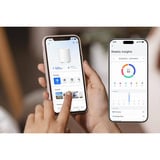 Reolink Hub 1 Lite, Central Hvid