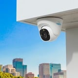 Reolink P344 Tårn IP-sikkerhedskamera Indendørs & udendørs 4512 x 2512 pixel Væg, Overvågningskamera Hvid/Sort, IP-sikkerhedskamera, Indendørs & udendørs, Ledningsført, 700 lm, 6500 K, Intern
