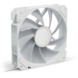 Sharkoon SHARK Mirror RGB PWM, Sag fan Hvid